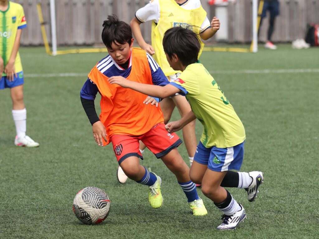 Home whatsapp image 2025 12 11 at 7.15.24 pm (1)