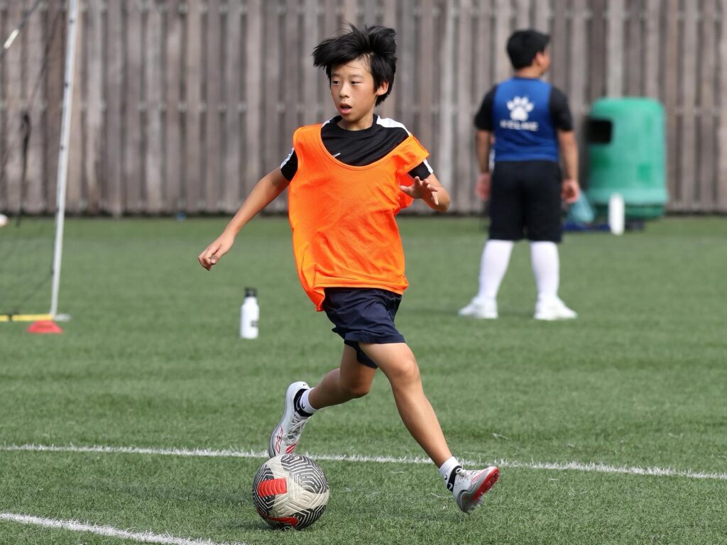 Home whatsapp image 2025 12 11 at 7.15.26 pm (1)